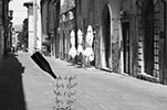 Pietrasanta 2013